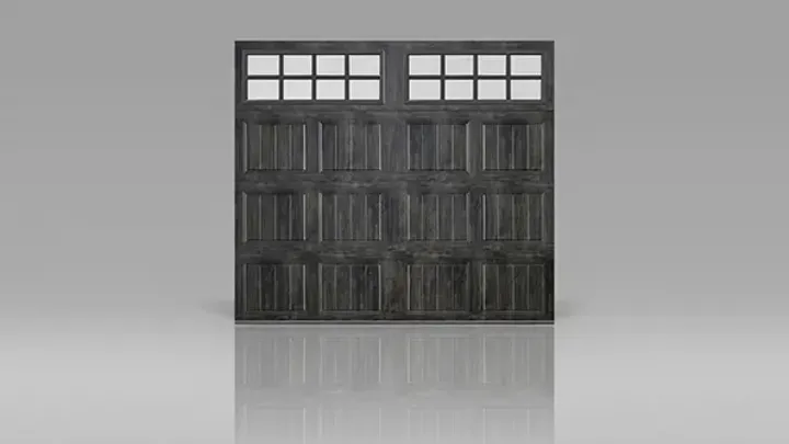 Raised-panel steel garage door on a South Tampa home